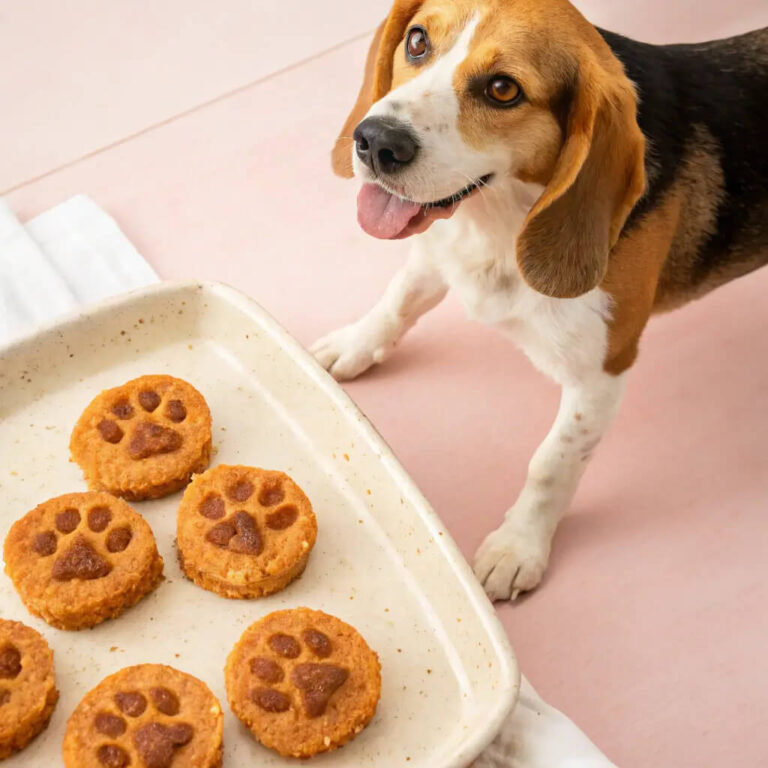 Shrimp & Sweet Potato Dog Croquettes