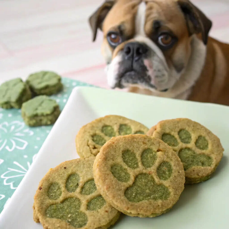 Spinach & Apple Spring Dog Biscuits