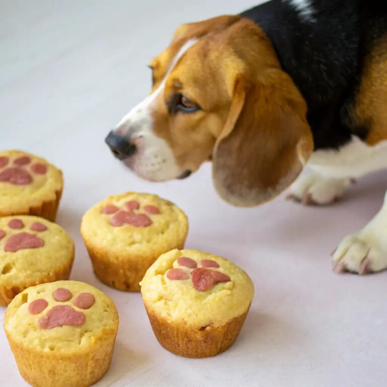 Sweet Corn & Bacon Dog Muffins