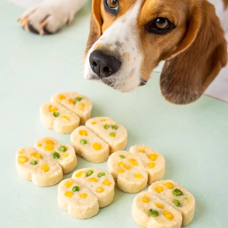 Sweet Corn & Tuna Summer Dog Treats