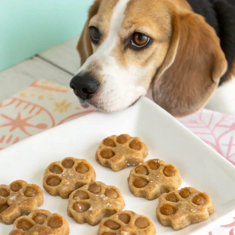 Trick-or-Treat Apple Crunch Dog Snacks