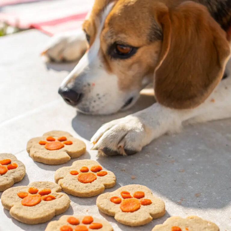 Tuna & Carrot Fishy Dog Biscuits
