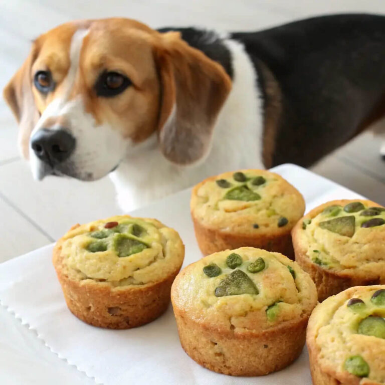 Tuna & Zucchini Savory Dog Muffins