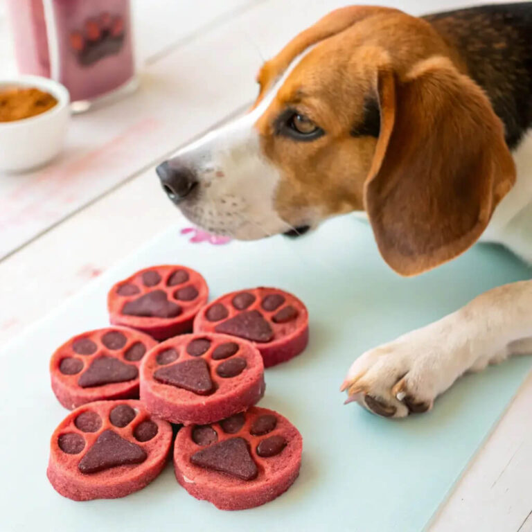 Turkey & Beetroot Colorful Dog Treats