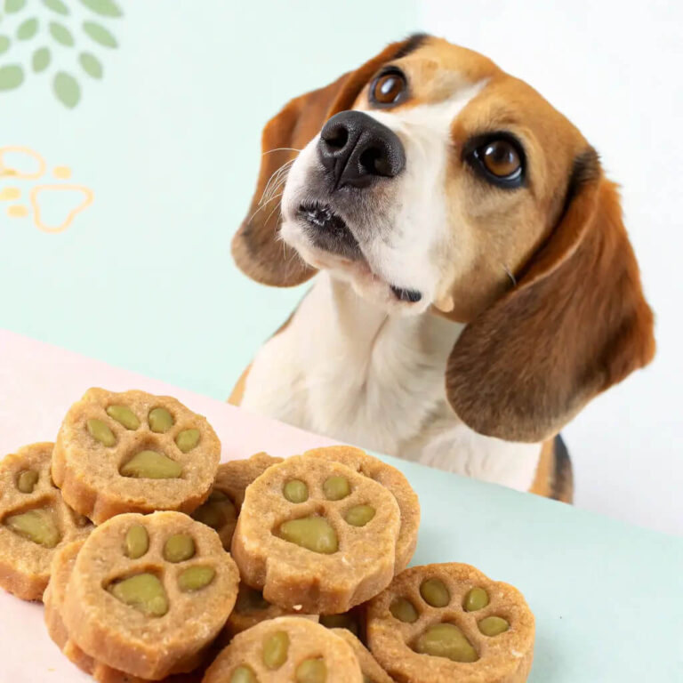 Turkey & Sweet Pea Crunchy Dog Snacks