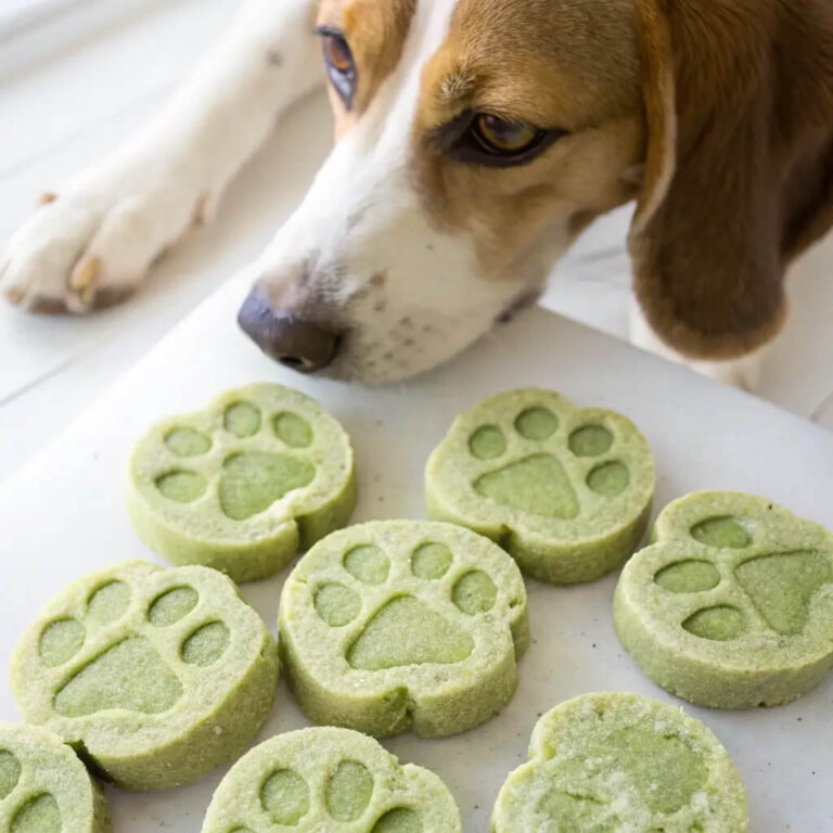 Zucchini & Goat Cheese Gourmet Dog Treats